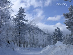 2009 Calendar