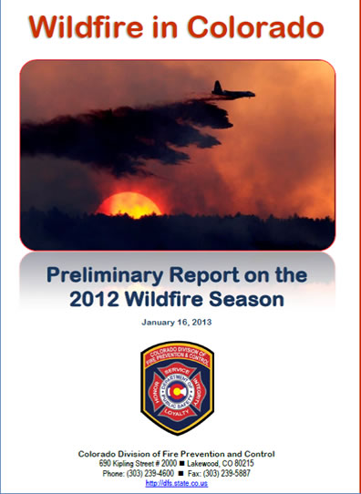 Preliminary Wildfire Report